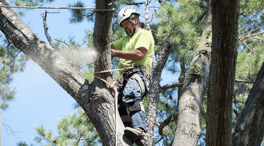 Construction Case Study Image 540x300