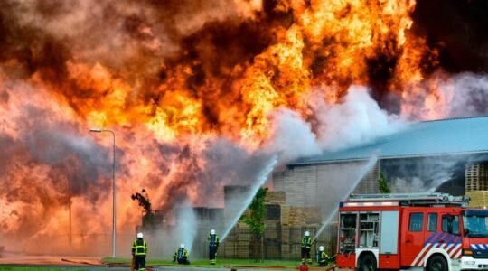 Decorative image 1100x550 1 1