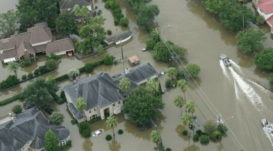 Decorative image 1100x550 1