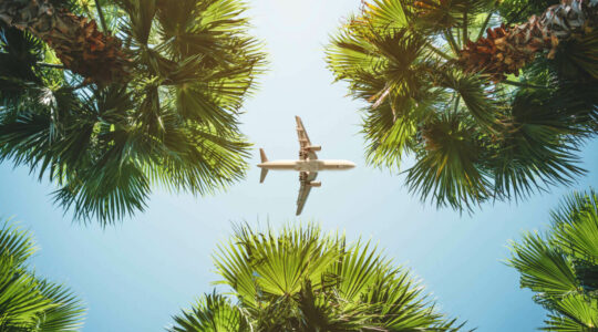 Airplane-with-palm-trees